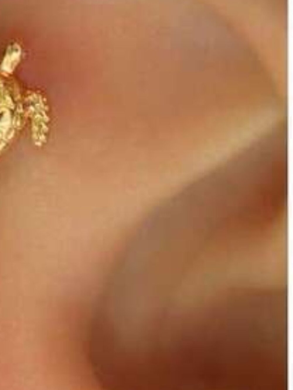 Minimalist Sea Turtle Decor Clip-On Copper Earring, To We